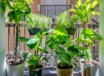 IMG-20190529-WA0022